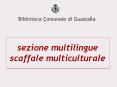 sezione multilingue scaffale multiculturale PowerPoint PPT Presentation