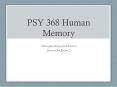 PSY 368 Human Memory PowerPoint PPT Presentation