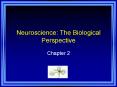 Neuroscience: The Biological Perspective PowerPoint PPT Presentation