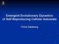 Emergent Evolutionary Dynamics of Self-Reproducing Cellular Automata PowerPoint PPT Presentation