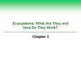 Ecosystems: What Are They and How Do They Work? PowerPoint PPT Presentation