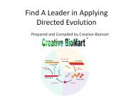 Find A Leader in Applying Directed Evolution
