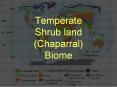 Temperate Shrub land (Chaparral) Biome PowerPoint PPT Presentation