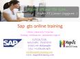 sap gts online training in denmark,sweden PowerPoint PPT Presentation