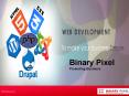 Sydney SEO Expert & App Development -Binary Pixel PowerPoint PPT Presentation