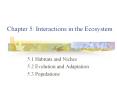 Chapter 5: Interactions in the Ecosystem PowerPoint PPT Presentation