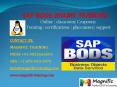 SAP BODS ONLINE TRAINING IN CANADA PowerPoint PPT Presentation