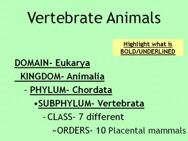 Vertebrate Animals