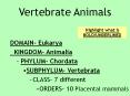 Vertebrate Animals PowerPoint PPT Presentation