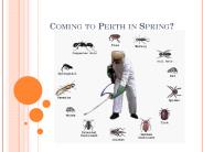 Coming to Perth in Spring?