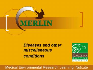 Diseases and other miscellaneous