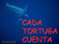 CADA TORTUGA CUENTA PowerPoint PPT Presentation