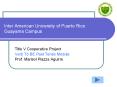 Inter American University of Puerto Rico Guayama Campus PowerPoint PPT Presentation