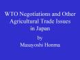 WTO Negotiations and Other Agricultural Trade Issues in Japan by Masayoshi Honma PowerPoint PPT Presentation