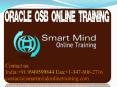 Oracle osb online training | Online Oracle osb Training in USA, UK, Canada, Malaysia, Australia, India, Singapore PowerPoint PPT Presentation