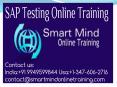 SAP Testing Online Training | Online SAP Testing Training in USA, UK, Canada, Malaysia, Australia, India, Singapore PowerPoint PPT Presentation