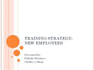 TRAINING STRATEGY: NEW EMPLOYEES