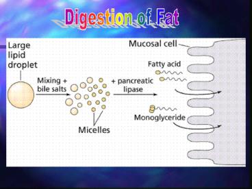 Nutrition Lecture Three