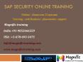 sap security online training PowerPoint PPT Presentation