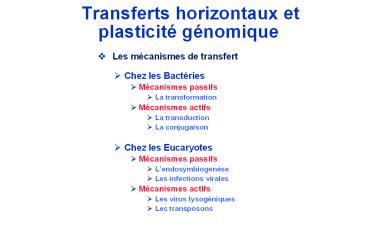 Transferts horizontaux et plasticit