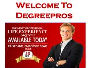 Welcome To Degreepros