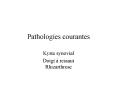 Pathologies courantes PowerPoint PPT Presentation