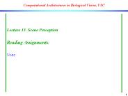 Computational Architectures in Biological Vision, USC