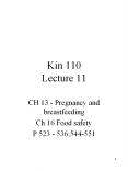 Kin 110 Lecture 11 PowerPoint PPT Presentation