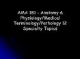 AMA 181 - Anatomy PowerPoint PPT Presentation