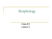 Morphology