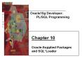 Oracle10g Developer: PowerPoint PPT Presentation