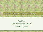 Spatial Temporal Data Mining