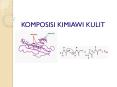 KOMPOSISI KIMIAWI KULIT PowerPoint PPT Presentation