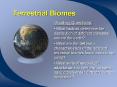 Terrestrial Biomes PowerPoint PPT Presentation