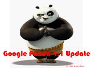 Guide to Google's Panda 4.1