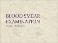 Blood smear examination PowerPoint PPT Presentation