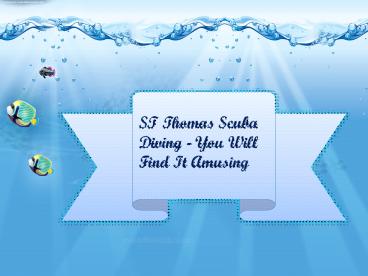 ST Thomas Scuba Diving - You Will Find It Amusing