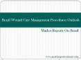 Brazil Wound Care Management Procedures Outlook to 2020 PowerPoint PPT Presentation
