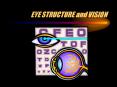 EYE STRUCTURE and VISION PowerPoint PPT Presentation
