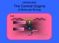 Introduction The Central Dogma of Molecular Biology PowerPoint PPT Presentation