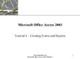 New Perspectives on Microsoft Office Access 2003 Tutorial 4 PowerPoint PPT Presentation