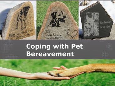 Coping with Pet Bereavement