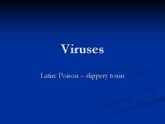 Viruses