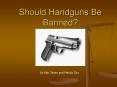 Should Handguns Be Banned? PowerPoint PPT Presentation