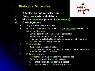 Biological Molecules