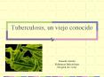 Tuberculosis, un viejo conocido PowerPoint PPT Presentation