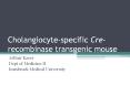 Cholangiocyte-specific Cre-recombinase transgenic mouse PowerPoint PPT Presentation