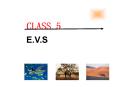 CLASS 5 PowerPoint PPT Presentation