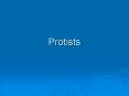 Protists PowerPoint PPT Presentation