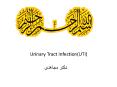 Urinary Tract Infections PowerPoint PPT Presentation